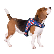 Nylon Dog Harness Adjustable Pet Mesh Harness Vest