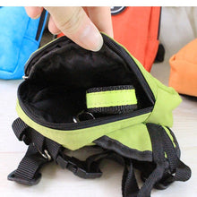 Small Dog Backpack