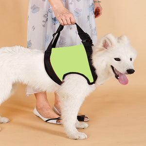 TAILUP New Arrival Front Rear Type Dog Lift Harness
