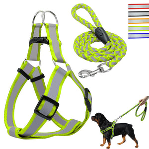 Step-in Dog Harness & Leash Set Reflective Nylon