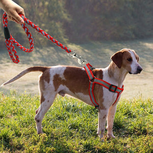 Step-in Dog Harness & Leash Set Reflective Nylon