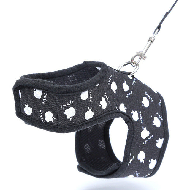 Heart Printed Dog Harness or Cat Harness and Matching Leash Set