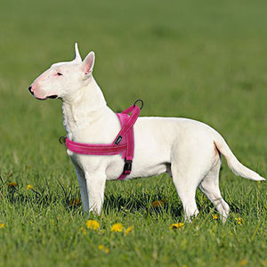 No Pull Nylon Dog Harness Soft Padded Reflective