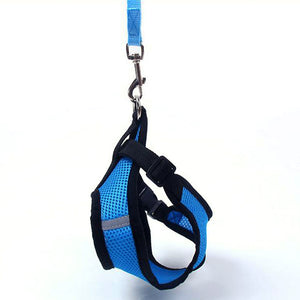 New Soft Breathable Air Nylon Mesh Small Dog Harness Cat Harness and Leash Set